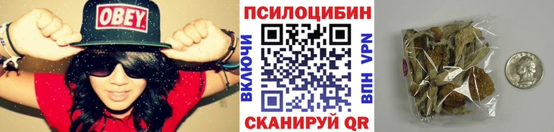 Псилоцибиновые грибы ЛСД Купить где Рошаль